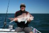 Kalbarri pink from 16 metres of water.